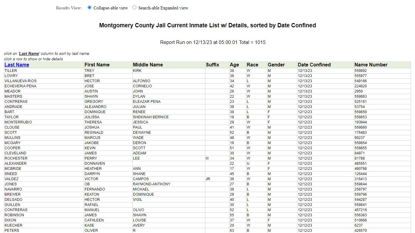 Jail Roster